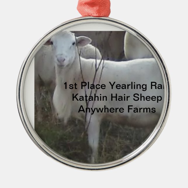 Ornamento De Metal Carneiros do cabelo de Katahin (Frente)