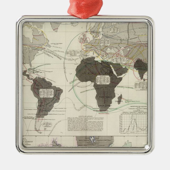 Ornamento De Metal Carnivora (Frente)