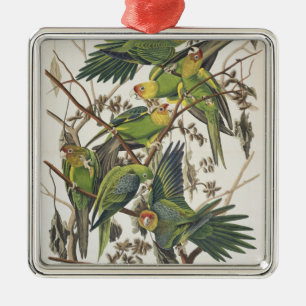 Ornamento De Metal Carolina Parakeet, de 'Birds of America', 1829