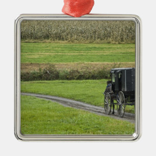 Ornamento De Metal Carrinho Amish em estrada rural, Nordeste de Ohio,