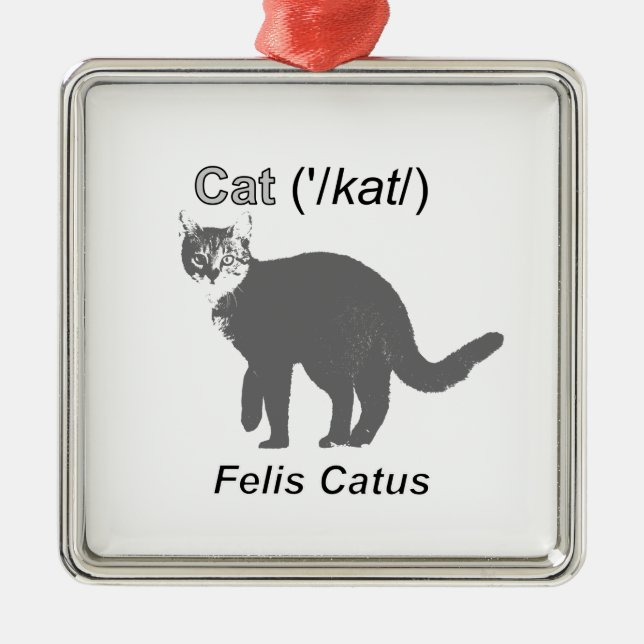 Ornamento De Metal Cat Felis Catus (Frente)