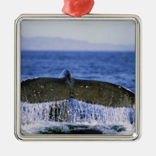 Ornamento De Metal Cauda do Humpback