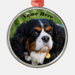 Ornamento De Metal Cavaleiro Tricolor Rei Charles Spaniel