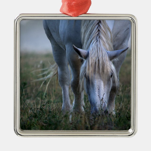 Ornamento De Metal Cavalo branco (Frente)