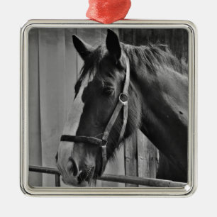 Ornamento De Metal Cavalo Branco Negro - Fotografia Animal