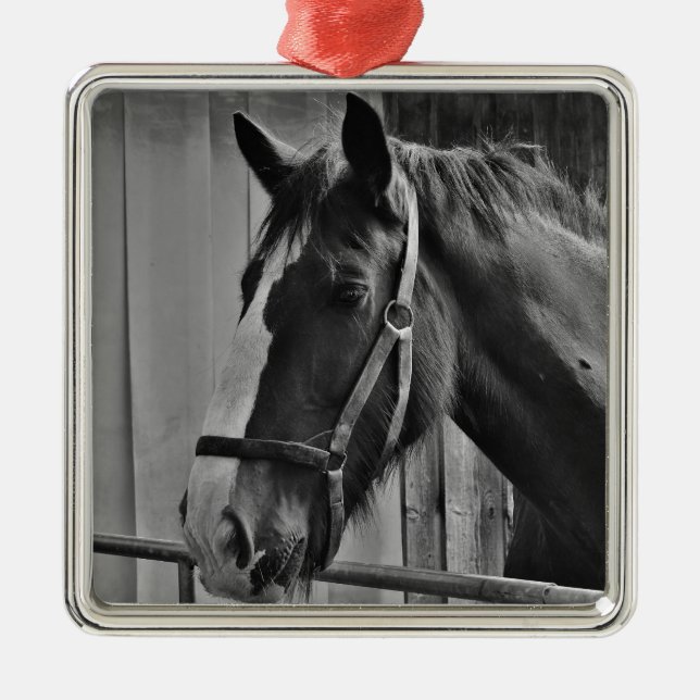 Ornamento De Metal Cavalo Branco Negro - Fotografia Animal (Frente)