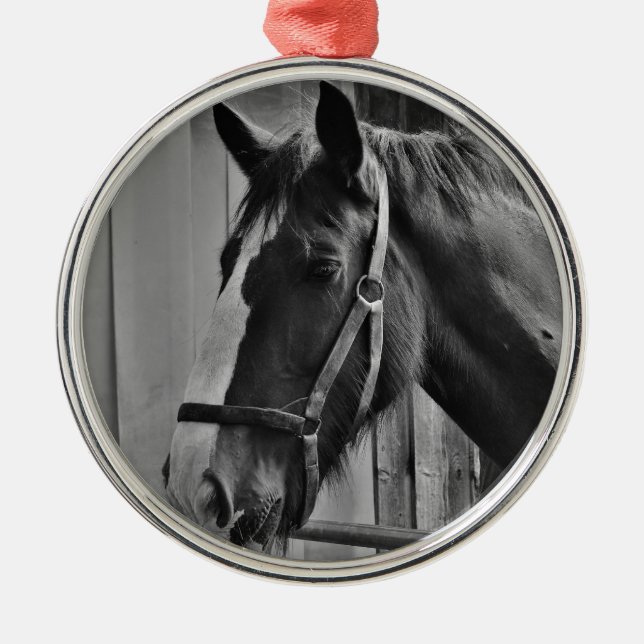 Ornamento De Metal Cavalo Branco Negro - Fotografia Animal (Frente)