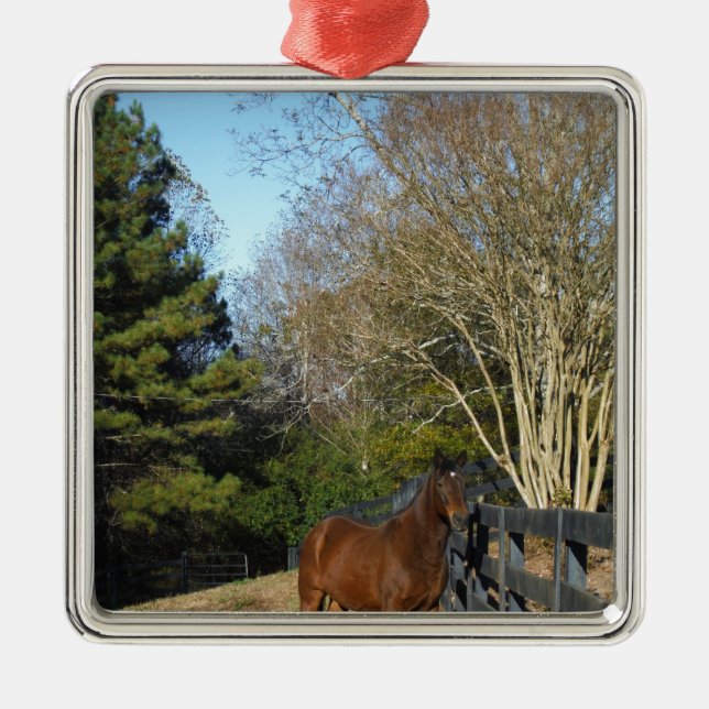 Ornamento De Metal Cavalo castanho contra cerca (Frente)
