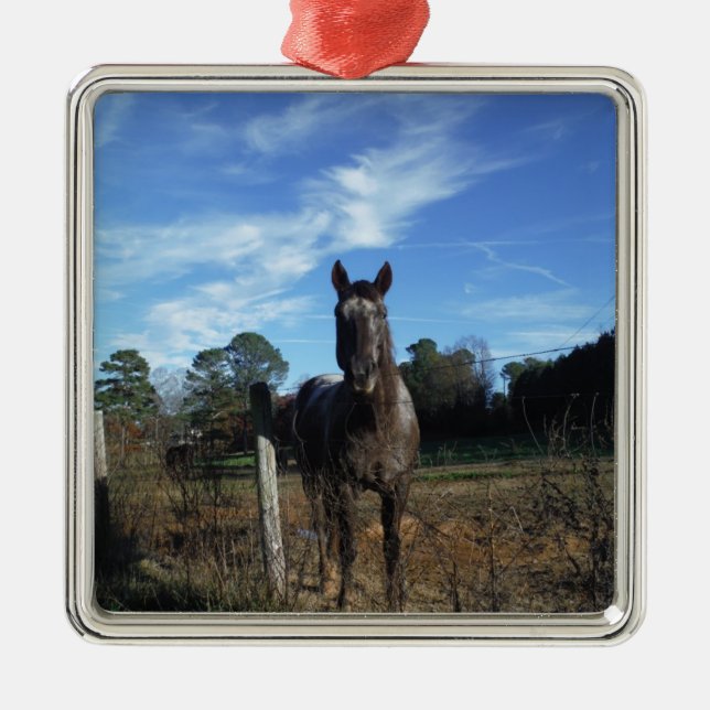 Ornamento De Metal Cavalo castanho de chocolate em azul (Frente)