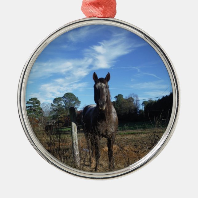 Ornamento De Metal Cavalo castanho de chocolate em azul (Frente)