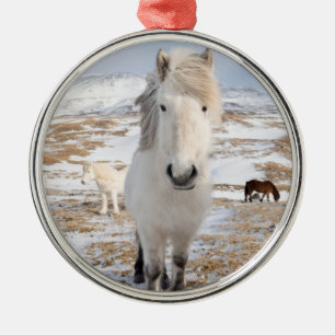 Ornamento De Metal Cavalo islandês branco, Islândia