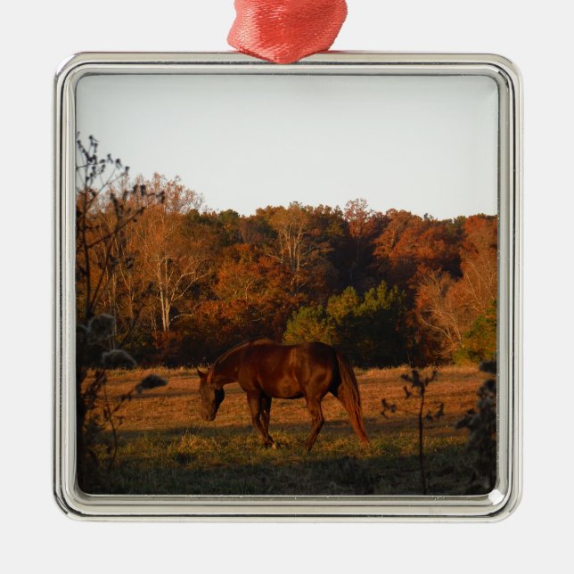 Ornamento De Metal Cavalo Vermelho Brown, bosque de outono. (Frente)