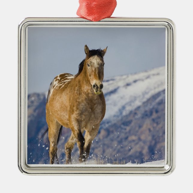Ornamento De Metal Cavalos Correndo na Neve (Frente)