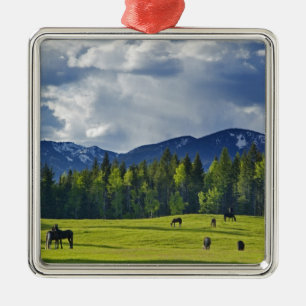 Ornamento De Metal Cavalos pastam em pasto perto de Whitefish,