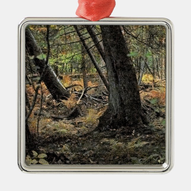 Ornamento De Metal Cena da floresta do outono (Frente)
