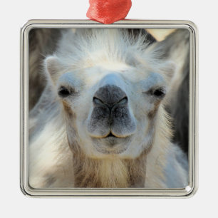 Ornamento De Metal Cerâmica K2