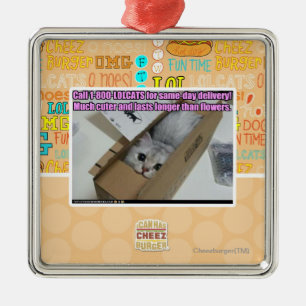 Ornamento De Metal Chamada 1-800-LOLCATS