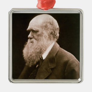 Ornamento De Metal Charles Darwin (1809-82) (foto)