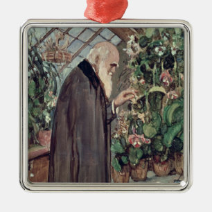 Ornamento De Metal Charles Robert Darwin