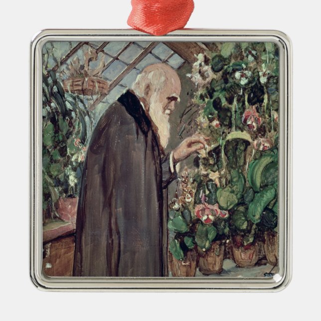 Ornamento De Metal Charles Robert Darwin (Frente)