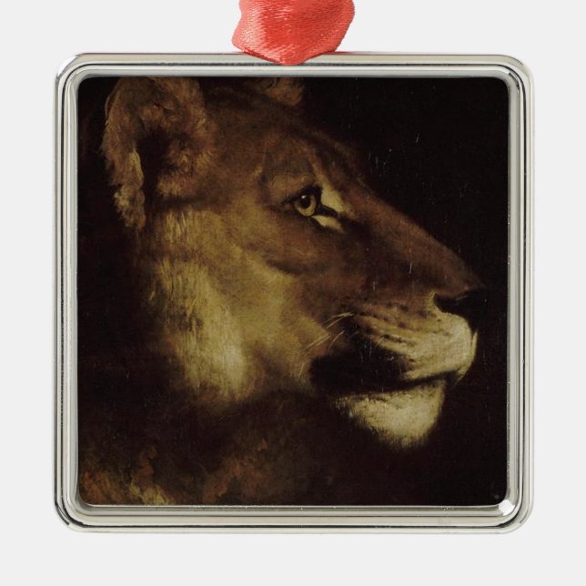 Ornamento De Metal Chefe de Leão (Animal Selvagem) (Frente)