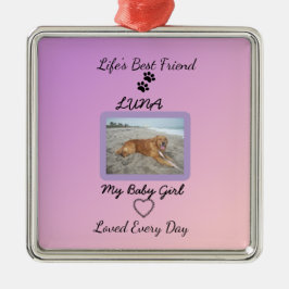 Ornamento De Metal Chic Seasonal Companion Keepsake