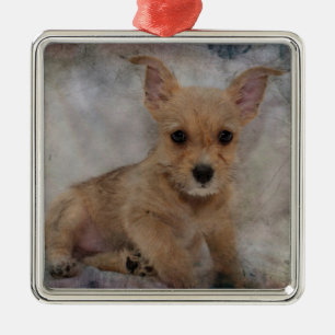 Ornamento De Metal Chihuahua/Yorkie Puppy