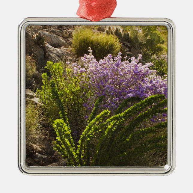 Ornamento De Metal Chihuahuan desert plants in bloom (Frente)