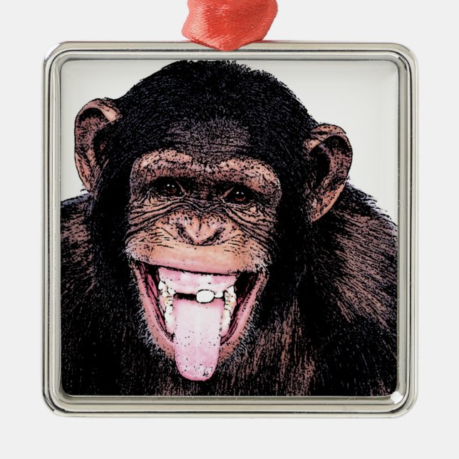Ornamento De Metal Chimpanzé (Frente)