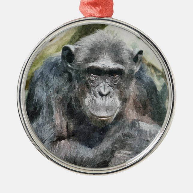 ORNAMENTO DE METAL CHIMPANZÉS FOFOS (Frente)