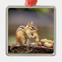 Ornamento De Metal Chipmunk comendo amendoim