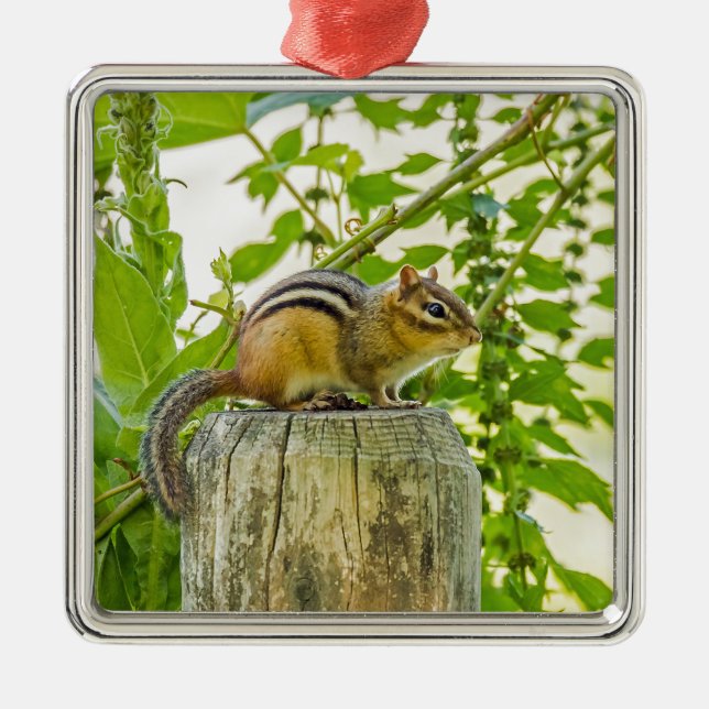 Ornamento De Metal Chipmunk em um Posto de cerca (Frente)