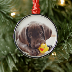 Ornamento De Metal Chocolate Labrador Com Pato De Brinquedo