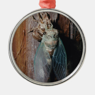 Ornamento De Metal Cicada seca as asas