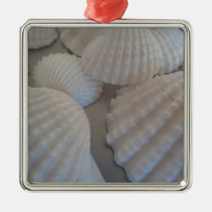 Ornamento De Metal Cinza Branca, Conchas, Sea Shell Summer Beach Love