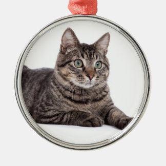 Ornamento De Metal Cinza Tabby Cat