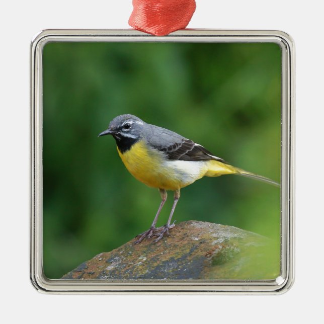Ornamento De Metal Cinza Wagtail - pássaro (Frente)