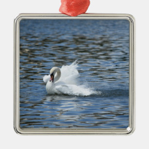 Ornamento De Metal Cisne de derramamento no lago Morton
