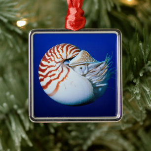 Ornamento De Metal Close-Up de Nautilus-Camarado
