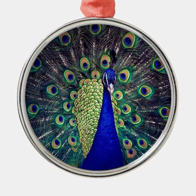 Ornamento De Metal Cobalto Blue Peacock (Frente)