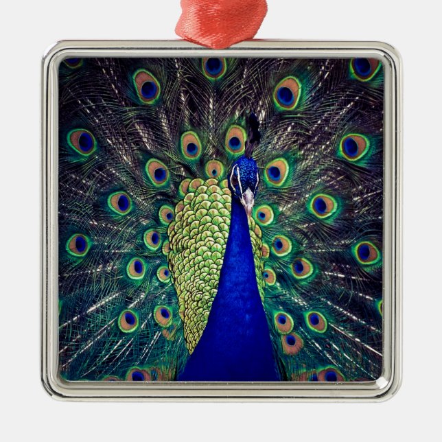 Ornamento De Metal Cobalto Blue Peacock (Frente)