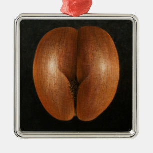 Ornamento De Metal Coco de Mer 2010