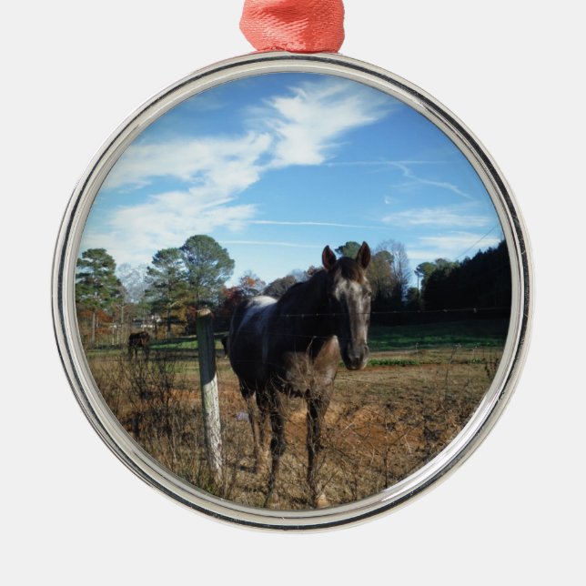 Ornamento De Metal Coco e cavalo castanho creme (Frente)