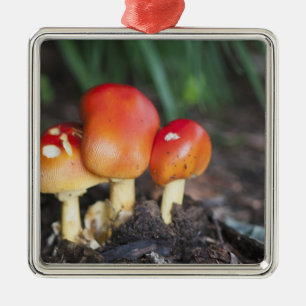 Ornamento De Metal cogumelo da família Amanita