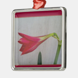 Ornamento De Metal Colar