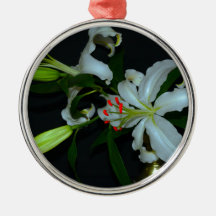 Coleção de Design e Flores irlandesas