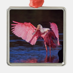 Ornamento De Metal Colhereiro-americano (Ajaia ajaja) com Cormorão