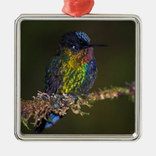 Ornamento De Metal Colibri