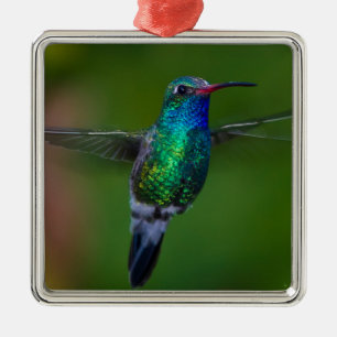 Ornamento De Metal Colibri de flutuação