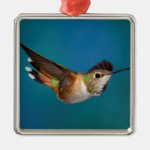 Ornamento De Metal Colibri Rufous